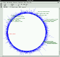 ARB Genome Window